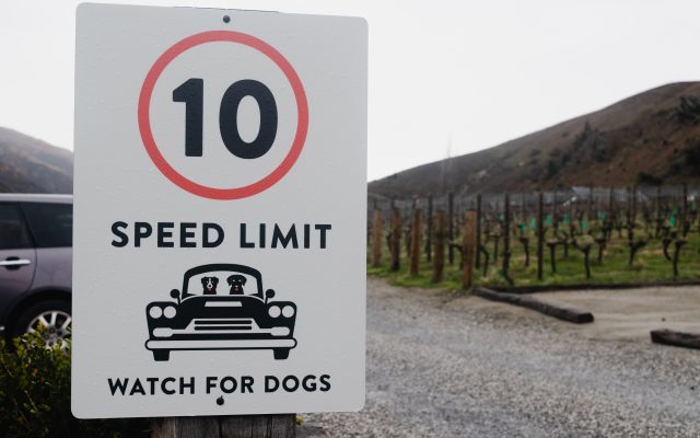 Gibbston Valley Winery – speed limit sign
