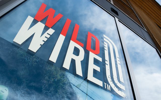 Wild Wire – Window Treatment